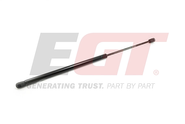 Gas Spring, boot/cargo area (510103EGT)