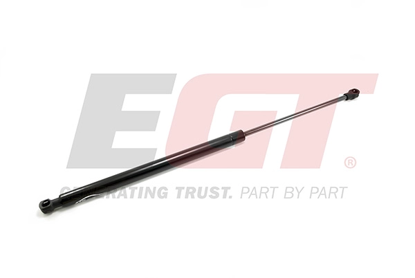 Gas Spring, boot/cargo area (510080EGT)