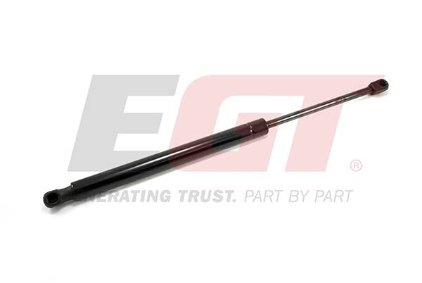 Gas Spring, boot/cargo area (510206EGT)