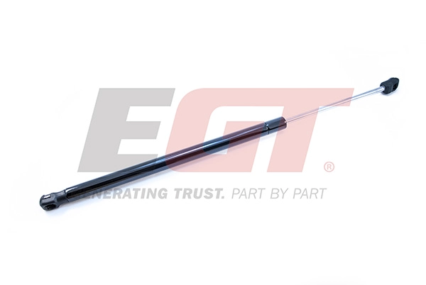 Gas Spring, boot/cargo area (510087EGT)