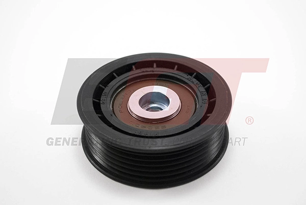 Deflection/Guide Pulley, V-ribbed belt (291894EGT)