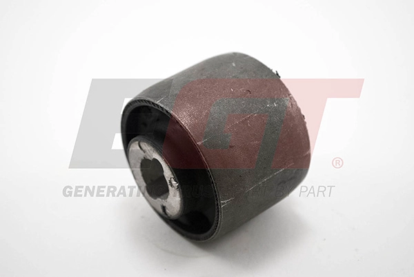 Mounting, control/trailing arm (181309EGT)