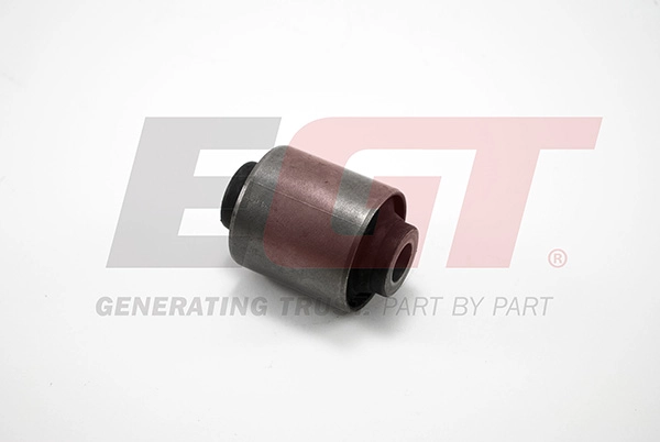 Mounting, control/trailing arm (181616EGT)