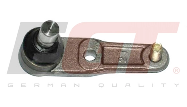 Ball Joint (101031EGT)