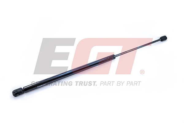 Gas Spring, boot/cargo area (510093EGT)