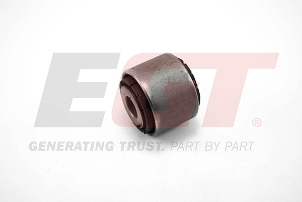 Mounting, control/trailing arm (211604EGT)