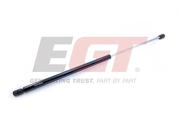 Gas Spring, boot/cargo area (510110EGT)