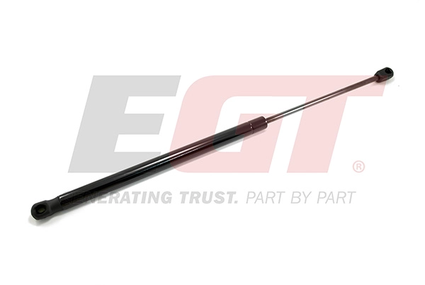 Gas Spring, boot/cargo area (510102EGT)