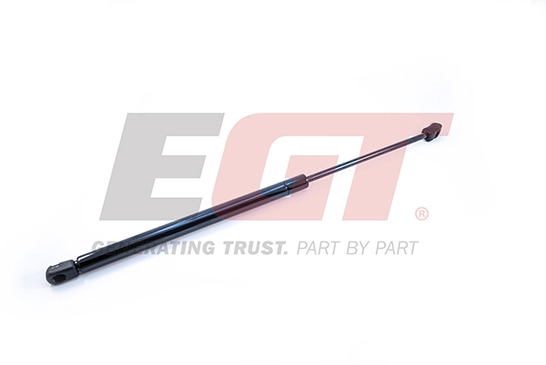 Gas Spring, boot/cargo area (510100EGT)