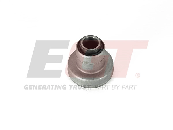 Mounting, control/trailing arm (211270EGT)