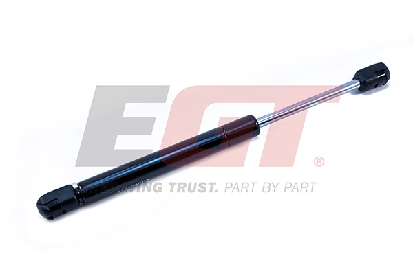 Gas Spring, boot/cargo area (510139EGT)