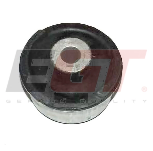 Mounting, control/trailing arm (211396EGT)