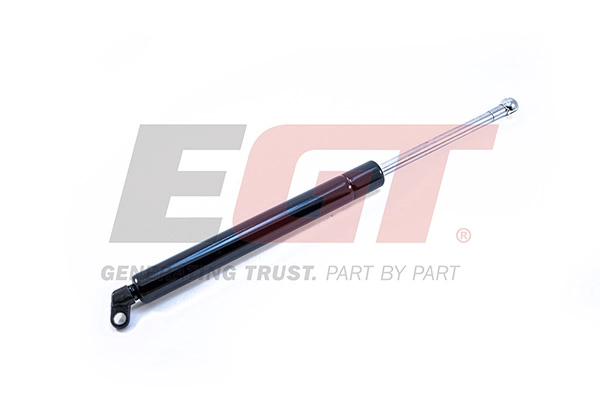 Gas Spring, boot/cargo area (510199EGT)