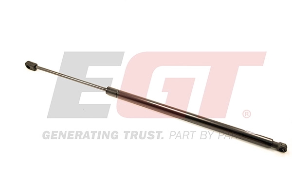 Gas Spring, boot/cargo area (510069EGT)