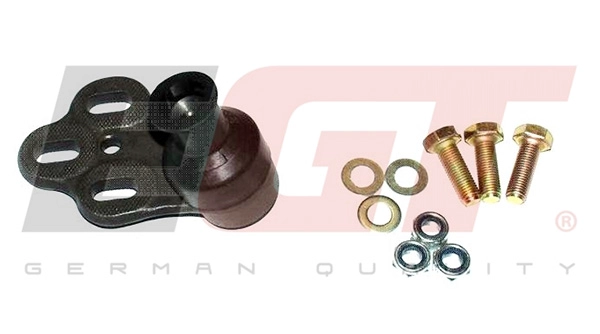 Ball Joint (101009EGT)