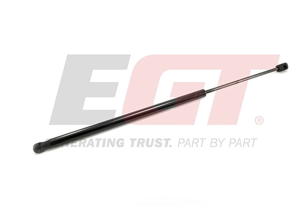 Gas Spring, boot/cargo area (510203EGT)