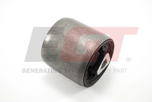 Mounting, control/trailing arm (261313EGT)