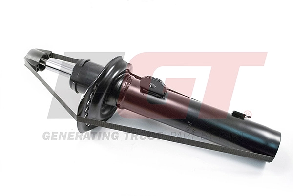 Shock Absorber (383662EGT)