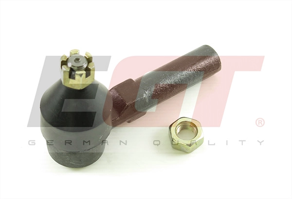 Tie Rod End (301967EGT)