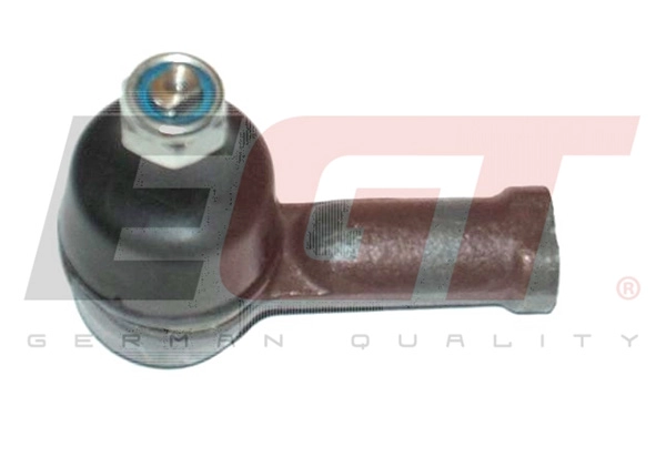 Tie Rod End (101029EGT)