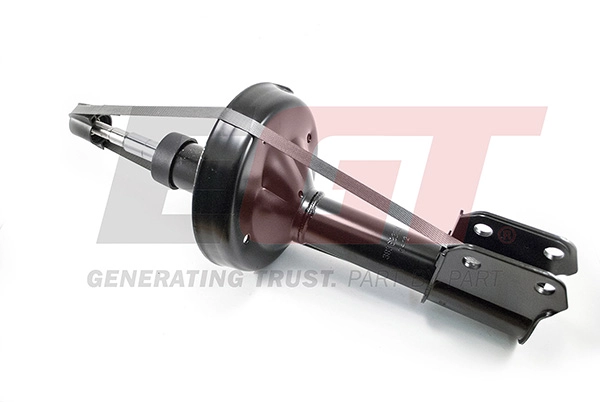 Shock Absorber (383683EGT)