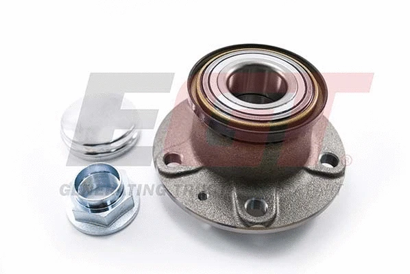 Wheel Bearing Kit (554507EGTk)