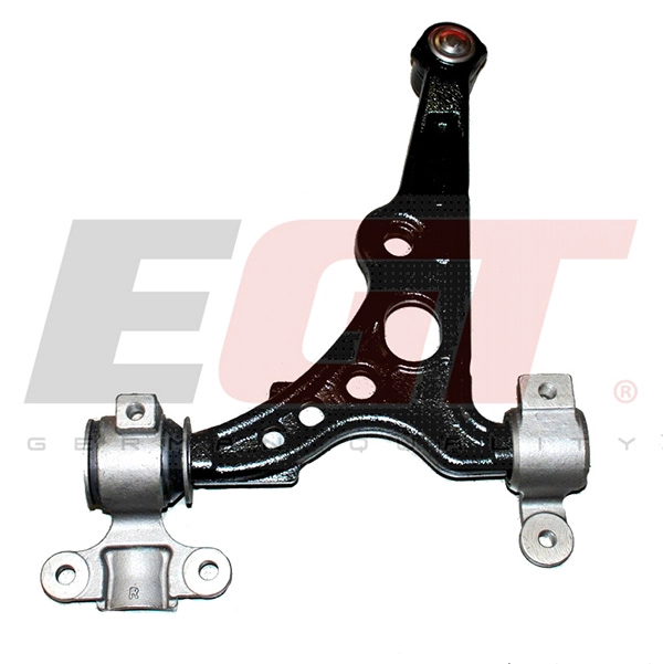 Control/Trailing Arm, wheel suspension (141313EGT)