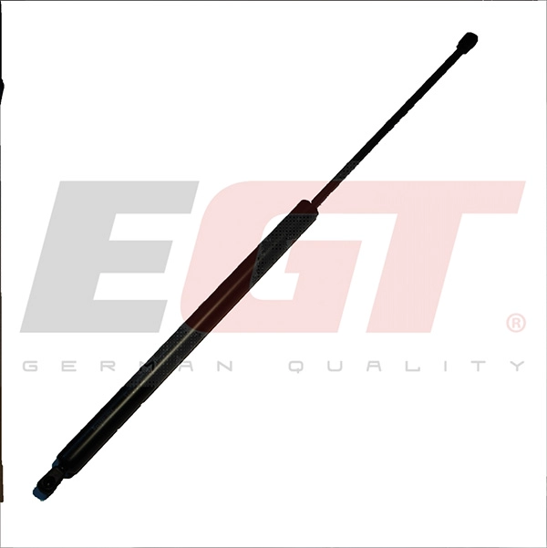 Gas Spring, boot/cargo area (510035EGT)