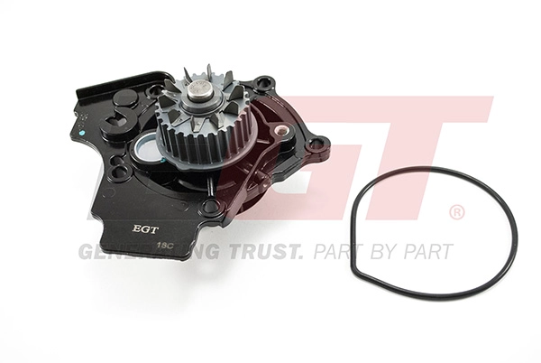 Water Pump, engine cooling (701358EGT)