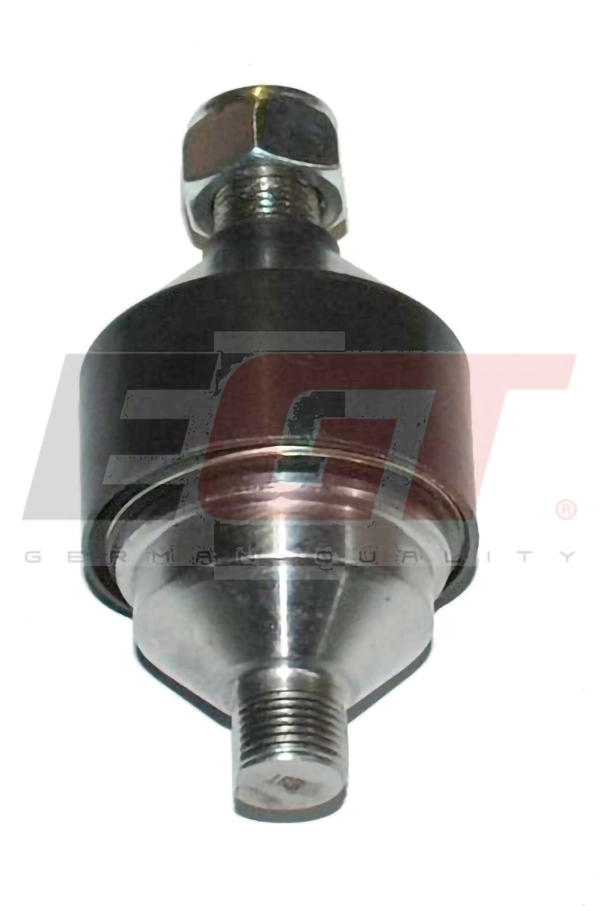 Ball Joint (101091EGT)