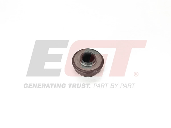 Mounting, control/trailing arm (211246EGT)