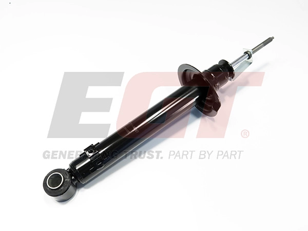 Shock Absorber (383551EGT)