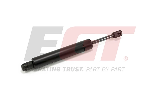 Gas Spring, boot/cargo area (510138EGT)