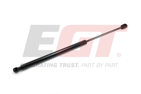 Gas Spring, boot/cargo area (510086EGT)