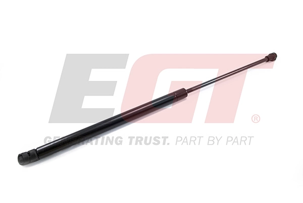 Gas Spring, boot/cargo area (510048EGT)