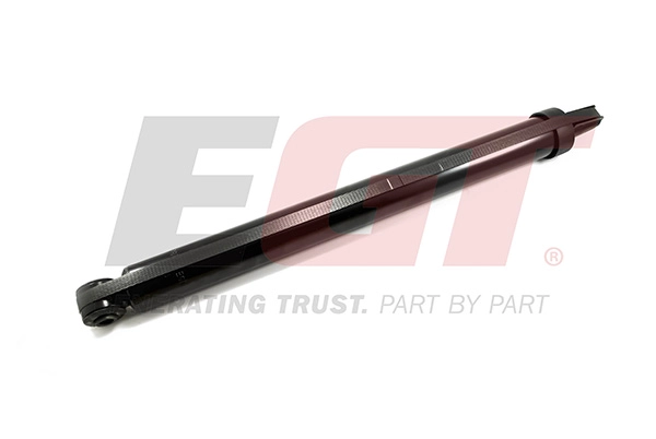 Shock Absorber (383664EGT)