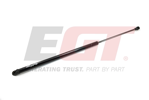 Gas Spring, boot/cargo area (510142EGT)