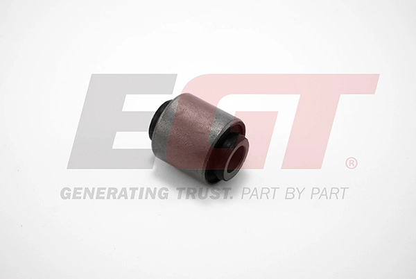 Mounting, control/trailing arm (181589EGT)