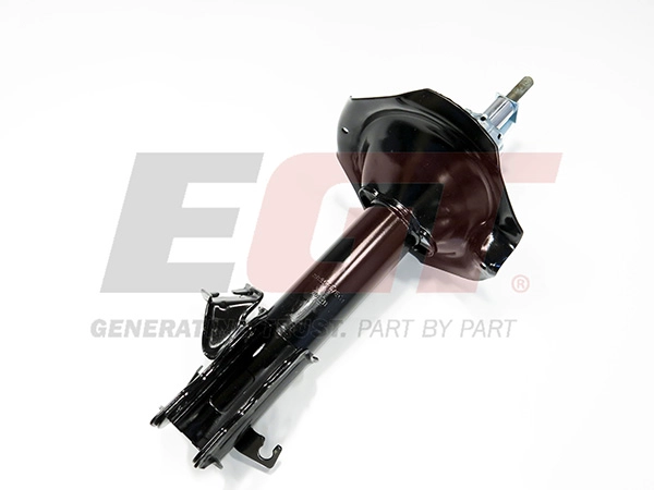 Shock Absorber (383597EGT)