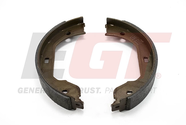 Brake Shoe Set, parking brake (420002EGT)