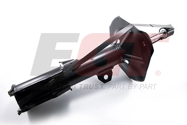 Shock Absorber (383697EGT)