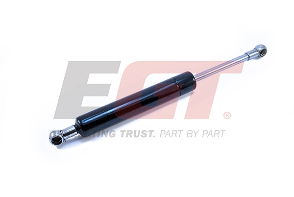 Gas Spring, boot/cargo area (510085EGT)