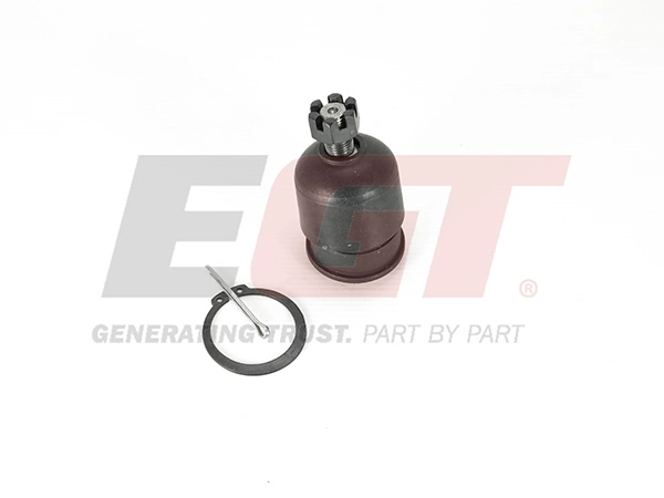 Ball Joint (101163EGT)