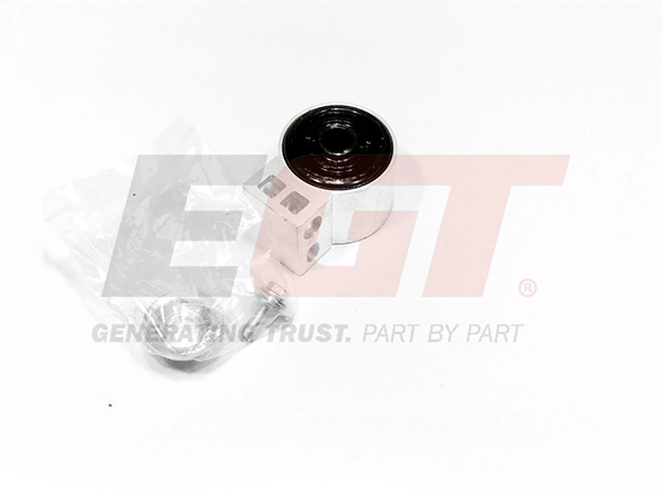 Mounting, control/trailing arm (181266EGT)