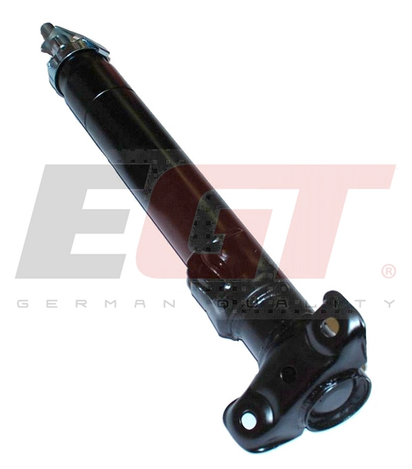 Shock Absorber (383302EGT)