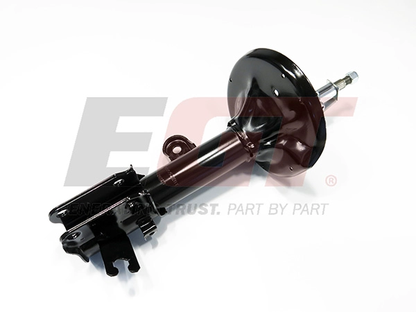 Shock Absorber (383553EGT)