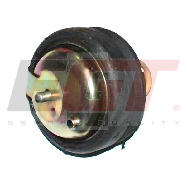 Tensioner Pulley, timing belt (601091EGT)