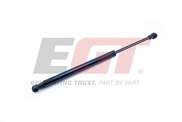Gas Spring, boot/cargo area (510101EGT)