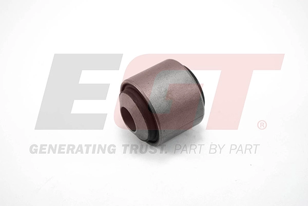 Mounting, control/trailing arm (211609EGT)