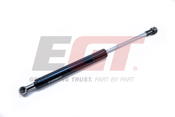 Gas Spring, boot/cargo area (510099EGT)